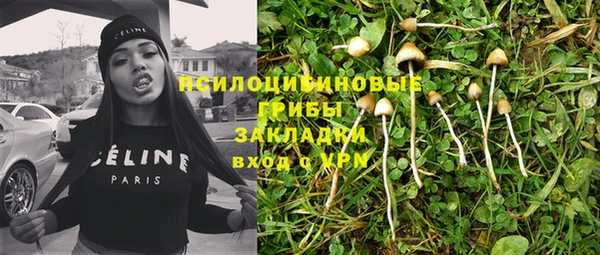 MESCALINE Горняк