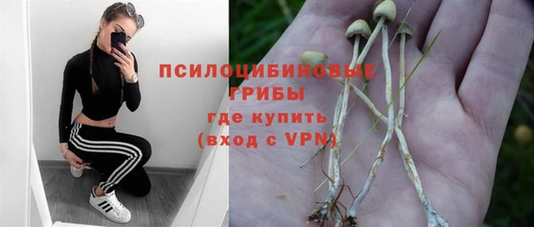 MESCALINE Горняк