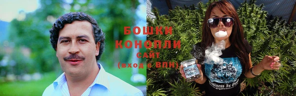 молекула духа Горнозаводск